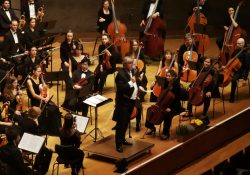 Foto: Laura Wittmann