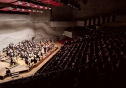 Universitätsorchester Regensburg