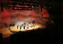 Foto: Laura Wittmann