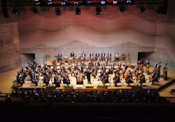 Dvořák Cellokonzert